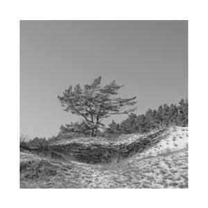 黄频视频大全免费的
